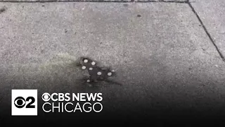 Crews remove Chicago's rat hole from sidewalk