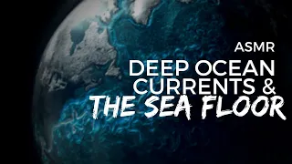 ASMR | (Viewer Choice!) Deep Sea Currents and the Seafloor