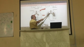 Respiratory module  30 ( Pleura , part 1 ) by , Dr. Wahdan