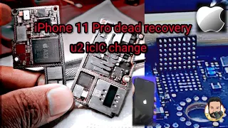 iphone 11 pro dead and not charging