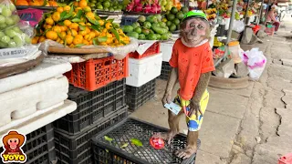 YoYo Jr goes to buy fruit with dad