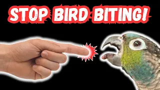 BIRD BITING - How To Stop A Parrot Bite | TheParrotTeacher