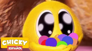 ¿Dónde está Chicky? 2020 | COLORES PRECIOSOS | Dibujos Animados Para Niños