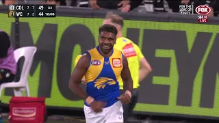 AFL 2022 Round 4 Collingwood vs West Coast - 2/2