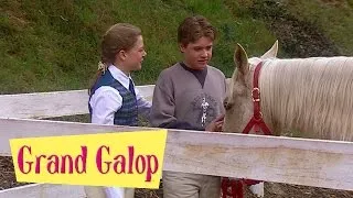 Grand Galop 206 - De l'amour dans l'air | HD | Épisode Complet