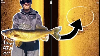 BEST Tips To Catch More Walleyes