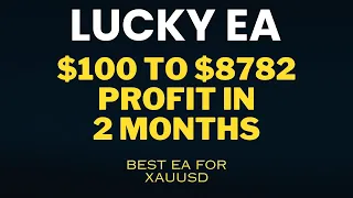 Lucky EA Forex MT4 EA Jan And Feb 2024 Month Profit | Best forex robots