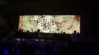 Neverdogs Part 5 @ Lima Perú at La Mecca - Feb 2019