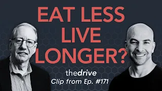 How calorie restriction could improve lifespan | Peter Attia & Steven Austad