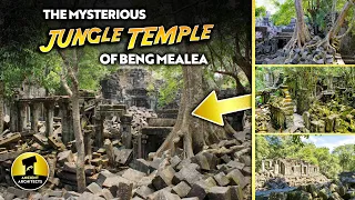 Found Inside a Jungle: The Mysterious Beng Mealea Temple in Cambodia | Ancient Architects