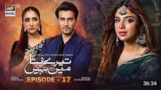 Tere Bina Mein Nahi Episode 17 l 18th April 2023 (English Subtitles) l ARY Digital