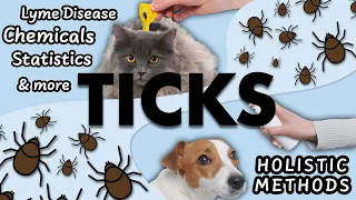 TICKS DEEP DIVE! Truth About Tick-Borne Diseases