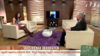 Taxis hiénák Ferihegyen - 2015.04.07. - tv2.hu/mokka