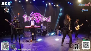 KNOCKING AT YOUR BACK DOOR - PURPLE BRAZIL - DEEP PURPLE TRIBUTE