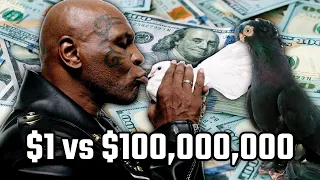 Птицы за $1 Vs $100,000,000! Двухчубые голуби. Tauben. Pigeons. Palomas. Pombos. 비둘기.