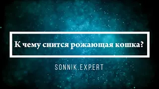 К чему снится рожающая кошка - Онлайн Сонник Эксперт