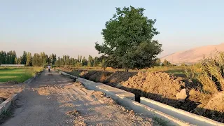 Lebanon, anjar farm