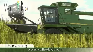 Industrial Hemp production basics for Ontario