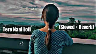 Tera Naal Lofi (Slowed + Reverb) Aesthetic video | Whatsapp Status Video | Darshan Raval |