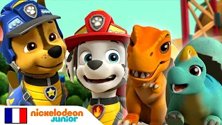 Paw Patrol : La Pat' Patrouille | On a volé les œufs! | Nick Jr.