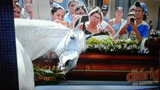 Cavalo chora a morte do seu dono