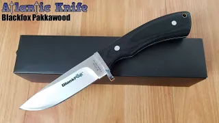 BLACK FOX PAKKAWOOD 440 STAINLESS DROP POINT FIXED BLADE KNIFE W/ SHEATH 007WD