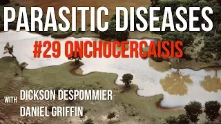 Parasitic Diseases Lectures #29: Onchocercaiasis