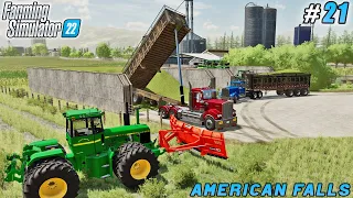 Covering million liters corn silage, preparation & barley sowing | American Falls Farm | FS 22 | #21