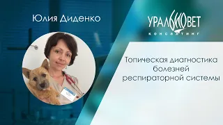 Топическая диагностика болезней респираторной системы. Лектор Юлия Диденко. #убвк_терапия