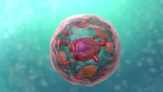 A Level Biology, Topic 1: Cell Structure