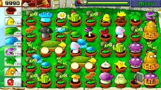 USING FLOWER POT STRATEGY | All Plants vs All Zombies - Plants vs Zombies Survival Day