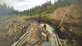 Рыбалка на двух забытых богом таежных реках Архангельской области.