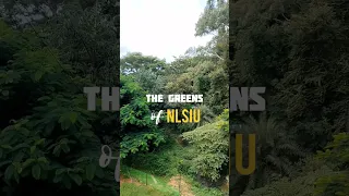 The Greens of NLSIU BANGALORE #nlsiu #nlsiubanglore #clat #ailet #nlubangalore