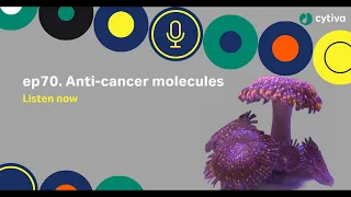 Discovery Matters | Ep70. Anti-cancer molecules