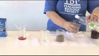 Video 9 - TESTING PH OF SOILS WITH VINEGAR & BICARBONATE OF SODA.mp4