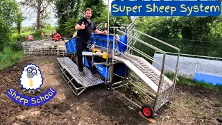 Sheep Farmer Uses Amazing Handling System For The First Time | Could It Be The Best Ever Made?