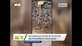 Balitang Bisdak: Mag-uuma, patay human gipaak og banakon