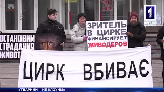 Акція проти жорстокості до тварин