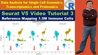 Seurat V5 Video Tutorial 3: Reference Mapping 1.5M Immune Cells