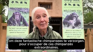 Video message from Dr. Goodall on her 90th birthday