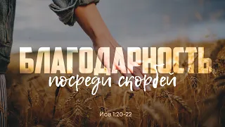 Благодарность посреди скорбей (Алексей Коломийцев)