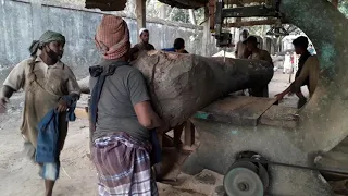 Giant Mahogany Wood $300 Cutting Difficulties। Tough To Cutting Giant Mahogany Wood at Sawmill BD