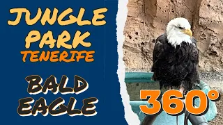 JUNGLE PARK | BIRDS OF PREY | 360° VR | TENERIFE