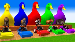 5 Giant Duck, Monkey, Piglet, chicken, dog, cat, cow, Sheep, Transfiguration funny animal 2023