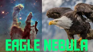 Types of Nebula in space (EAGLE) in real life NASA #shorts