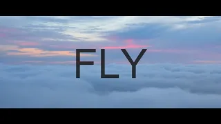 Ludovico Einaudi - Fly [FAN MADE]