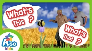 What's This? What's That? | English Kids Songs | BINGOBONGO Learning