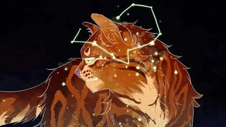 Огнезвезд, Коты-Воители ||shape of you