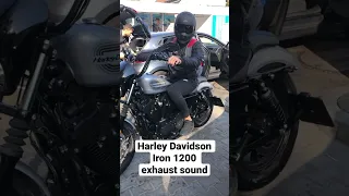 Harley Davidson Iron 1200 exhaust sound #harleydavidson #sound #exhaust #exhaustsound