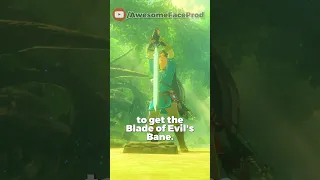 Two Ways to get The Master Sword in Breath of the Wild #shorts #zelda #nintendo